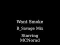 Want Smoke (BsavageMix) - MCNorad