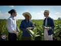 Cuba Day 4: Visiting Cuba's Famous Tobacco Fields | The Heart of Tradition | Kirby Allison