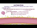 Pharmacokinetics: Drug absorption and distribution