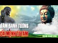 SAU 40 TUỔI BẠN PHẢI CHỊU TRÁCH NHIỆM CHO TƯỚNG MẠO CHÍNH MÌNH  - TÂM SINH TƯỚNG