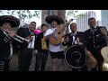 How I surprised Post Malone with a mariachi band