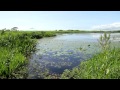 北海道　サロベツ原野と利尻富士 - Mt. Rishiri, Hokkaido, Japan