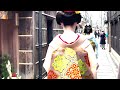 2024年1月13日 芸舞妓さん 初寄り Maiko in Gion 【柚子葉さん登場】