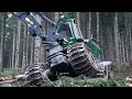 JOHN DEERE FORESTRY SQUAD - TEAM SAMBUGARO