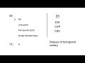 Temporal Arteritis