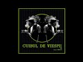 Cabron feat. Feli - Cuibul de viespi (Official track)