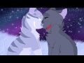 I Will Be There -Greystripe and Silverstream- [Complete MAP]
