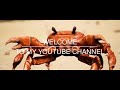 Welcome to my Youtube channel!