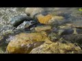 Fall Asleep Fast with Calming Sound of Water Stream | Relaxing White Noise Water Sounds for Sleep