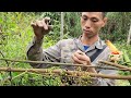 Skills for Trapping Birds, and finding peaches and Bamboo shoots grilled Eat for Survival