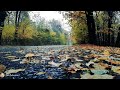 🌧️ | Rainy Vibes | Rainy Season | Rain Sounds for Sleeping | Beautiful Rainy View | Natural Raining