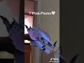 Dragon Puppet Crafts - Paper Dragon TikTok Compilation #4
