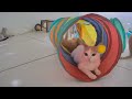 So Funny! Funniest Cats and Dogs ❤️ Best Funny Videos compilation Of The Month 😘😹