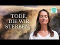 Die Tode, die wir sterben... um neu geboren zu werden (DMT & Zirbeldrüse) | Podcast #119