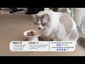 What I Feed My Cats: May 2024 | Sir George the Ragdoll