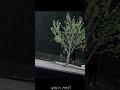 Unexpected watcher.mp4