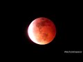 Super Blood Wolf Moon - 2019 | Amazing View From Miami Beach