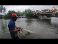 Wow! Unique Fishing Experience Cast Net Fishing Under The Bridge