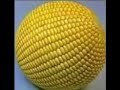 Ball of corn for 10 minutes