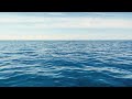 3 Minutes of Ocean