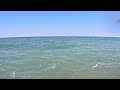 Gulls on a nice day at Headlands Beach in Ohio