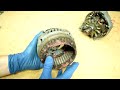 How to Test an Alternator - Plus How an Alternator Works