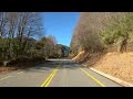 Optokinetic Training - Forest Drive (Including Switchbacks)