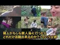 【#58】ナスDの大冒険YouTube版 1人で寒天50kg食べるまで無人島から帰れま天 最終章/Stucktill You Finish Off50kg ofAgar Jelly The Final