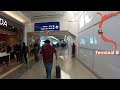 The Ultimate Ambient Airport Walk - Dallas Fort Worth International Airport - No Music or Narration!