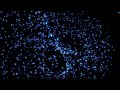 Blue Luminescence: Mesmerizing Particle Animation Showcase