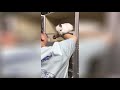 Cute Pet| Cutest and Funniest Chinchilla🐭baby animals video Compilation