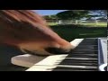 horse playing piano with nose