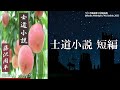 【朗読】「士道小説 短編」“闇討ち”するところを目撃してしまった妻女。そのために命を狙われてしまう！ やがて驚愕の真相が明らかに！？【時代小説・歴史小説／藤沢周平】