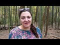 Atlanta Bamboo Forest | Hiking Atlanta Georgia with Kids | East Palisades Chattahoochee River