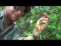 Foraging Wild Food -Survival Texas-