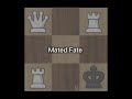 Mated Fate - Eclpx