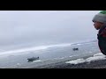 Video Captures Moment When Tsunami Hits Greenland's West Coast