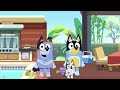 BLUEY MUFFIN PRANKS HER FAMILY