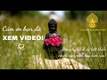 CÁCH CẮM HOA BÀN THỜ PHẬT SỐ 03 - Hình Tam Giác | CẮM HOA DÂNG PHẬT | Best Buddha Flowers Ideas