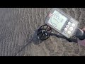 Minelab Metal Detector Detects Horseshoe Crab on the Beach