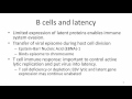 EBV Viral latency