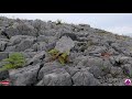 Virtual running videos for treadmill 4K | Virtual run Ireland | Virtual jogging scenery | The Burren