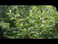 Cozy New Age Piano Music with the Light Spring Rain