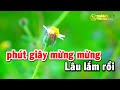 Karaoke Liên Khúc Ngẫu Hứng Lý Qua Cầu Tone Nữ Beat Mới Dễ Hát Nhạc Sống Thành Lý