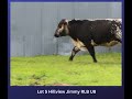 Lot 5 Hillview Jimmy RLB U8