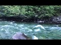 Canyon Creek Trailhead, North Cascades - Friday, July 13, 2018