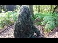 Stealth Camping in Plain Sight Wearing a Ghillie Suit