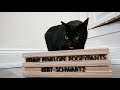DIY Marquee Sign Cat Bowl Stand - The World's Classiest Pet Feeder