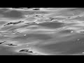 20240710 peaceful robot music fwd-revstack-evp-mx water reflections - by Dan Newport