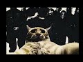 CAT SABBATH-the hairycat anthem